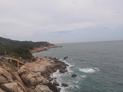 -广东惠东海龟国家级自然保护区