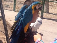 -新疆天山野生动物园