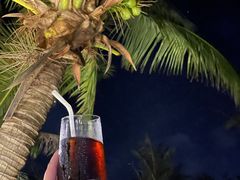 -三亚海棠湾万丽度假酒店