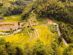 -紫鹊界梯田景区