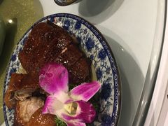 -海王老记