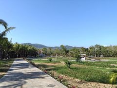 -亚龙湾国际玫瑰谷