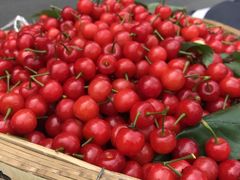 -樱桃山旅游景区