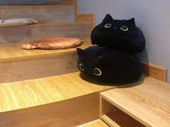 -啵啵喵·猫咖(攀华国际店)