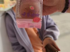 -GANSO元祖食品(锦创书城店)