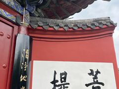 -洛阳白马寺