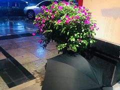 -紫莲花足道(柯桥古镇店)