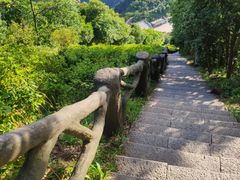 -梧桐山风景名胜区