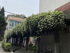 -四川大学(望江校区)