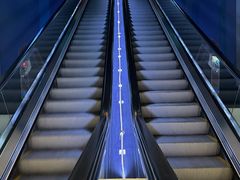 -上海海洋水族馆