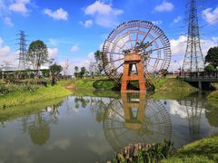-王借岗森林公园