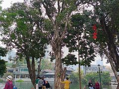 -荔湾湖公园