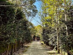-石燕湖生态旅游景区