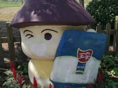 -上海都市菜园