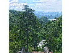 -塔云山