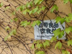 -热带风暴水上乐园