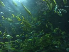 -福州罗源湾海洋世界旅游区