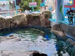 -海合安武汉极地海洋公园