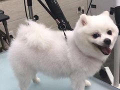 -暖阳宠物医院·犬猫康复中心·骨科