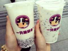 -一只酸奶牛(八一路店)