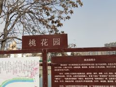 -桃花堤公园