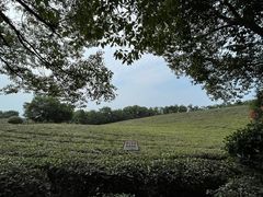 -南京市江宁方山