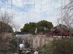 -香雪海