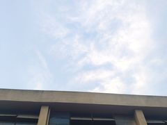 -沙龙酒家