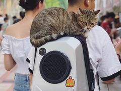 -VT101维多利广场