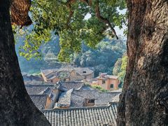 -杨家堂村