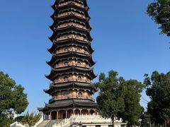-葛仙湖公园