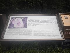 -庐山风景区花径公园