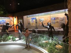 -国家自然博物馆