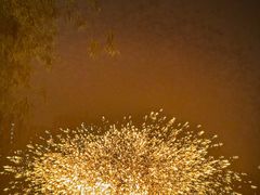 -海合安武汉极地海洋公园