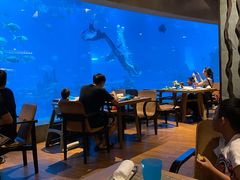 大堂-海棠湾洲际-涛·海底餐厅·美人鱼·自助餐·海底隧道