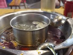 -金鼎雪山牦牛杂火锅(理县总店)