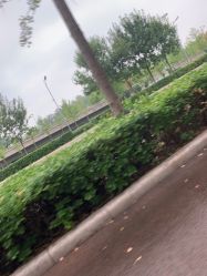 -HEYAN长风荷妍专业脱毛美肤
