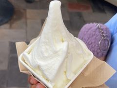 -野人先生现做冰淇淋(北京顺义祥云小镇店)