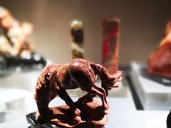 -中国地质博物馆