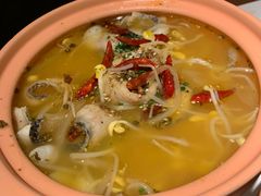 -Aqua Oasis 水天堂(相城天虹商场店)
