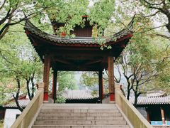 -龙潭水乡