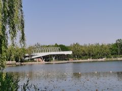 -大兴滨河森林公园