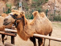 -南京汤山紫清湖生态旅游温泉度假区