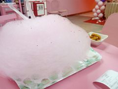 -pink baby·新晋网红打卡地