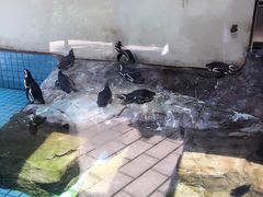 -常州海昌海洋探索馆