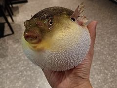 -永安鱼庄·镇江菜(东吴路店)