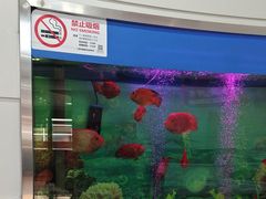 -雅悦齿科(顾村公园店)
