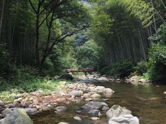 -宁波浙东大竹海景区