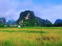 -明仕田园