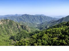 -大岭沟猕猴桃谷风景区